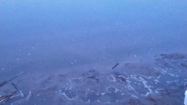 Клёв на Днепре.. Килошная плотва. смотреть онлайн