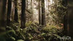 САБЛИМИНАЛ ДЛЯ ОЧИЩЕНИЯ ПРОСТРАНСТВА, ДОМА, КВАРТИРЫ, ЛЮБОЙ БРЕННОЙ ТЕРРИТОРИИ.