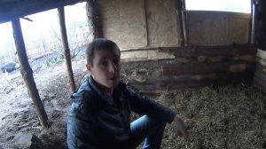 Берлога для свиней // Простой свинарник // Содержание вьетнамских свиней // Жизнь в деревне