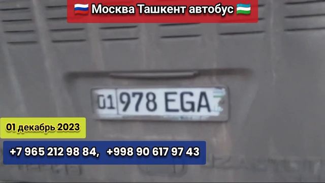 москва ташкент автобус. ташкент москва автобус ￼ #tashkent #moskva #avtobus #moskvatashkentavtobus смотреть онлайн