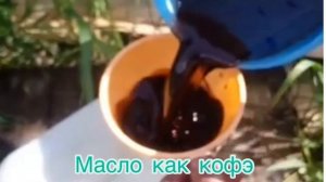 Замена масла Акпп Галант 9