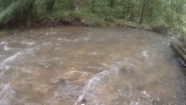 Спиннинг.Рыбалка. Приморский край.август 2020. поход по безымянному ручью.моя коробочка с приманкам смотреть онлайн