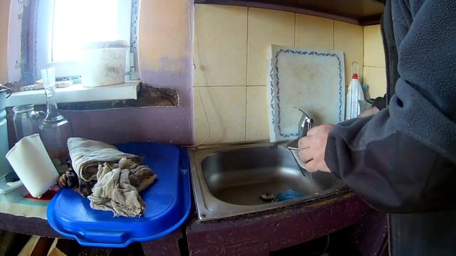 Саркоцифа Красная\ TEGE\ХУТОР смотреть онлайн