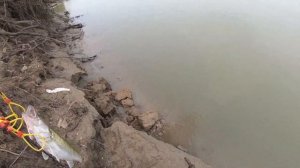 Три дня на берегу Оби. Налим, судак и щука на спиннинг с одного места.