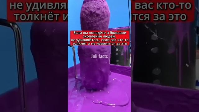 Самые опасные собаки в мире