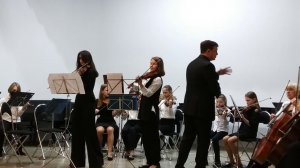 Струнный оркестр ДШИ им. С.Т.Рихтера - Вивальди