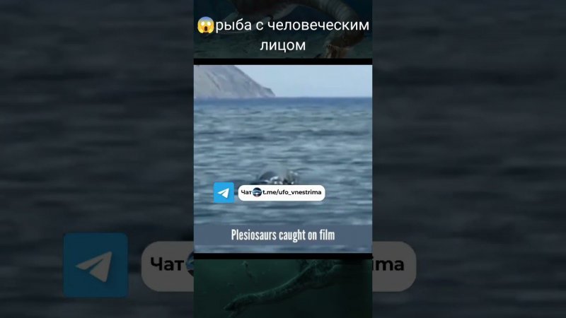 На видео засняли рыбу с человеческим лицом