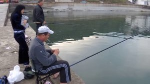 смарида (окунь) на поплавок 30.04.2013