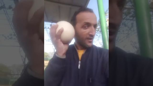 Таджикистан глухих хучанд зоопарк мург смотреть онлайн