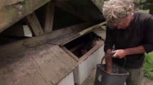 Organic Regenerative Farming is the Future