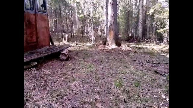 Кабина на полозьях для жилья в тайге, рядом медведь от спячки набирает вес, питаясь муравьями смотреть онлайн