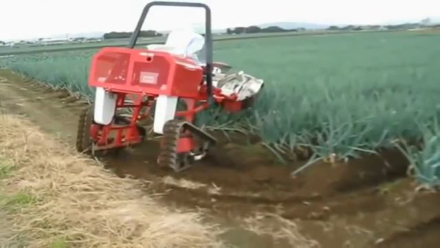 ТЕХНОЛОГИИ: Самоходная машина для культивации и внесения удобрений лука смотреть онлайн