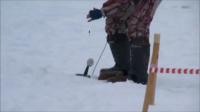 Платная рыбалка Пирогово-Коргашино смотреть онлайн