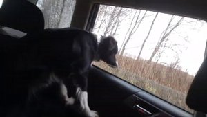 Мы едем, едем, едем...