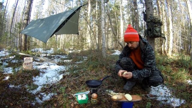 Поход в лес с ночёвкой у озера#Жарю шашлык и картошку с грибами#Выпивка#Отдых18+) смотреть онлайн