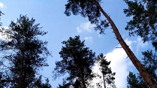 Пророческое слово обличения для Марины Дудыкиной