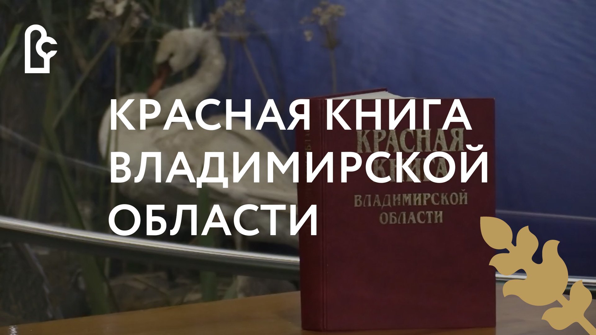 По страницам Красной книги Владимирской области