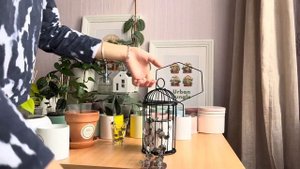 Церопегия: прекрасное растение для интерьера. Про уход, размножение, черенкование.Комнатные растени