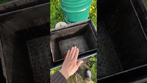 как устроена воскотопка