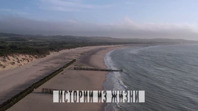 МОЯ ФИЛЕ ГОРЕЛА ПОСЛЕ ЭТОГО!! Интересные Истории Любви и Измен из Жизни Аудио Рассказ Тёща Зять смотреть онлайн