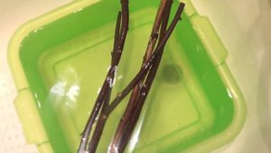 КЛЕТКА и её ОБУСТРОЙСТВО | как обустроить клетку для птиц?