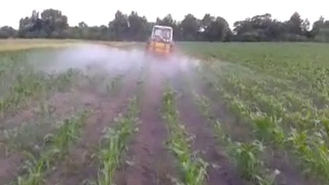 Подкормка кукурузы водоростворимыми удобрениями