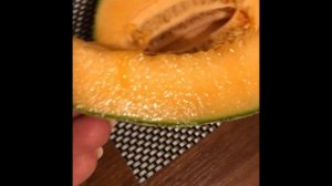 Дыня сорт Шаранте