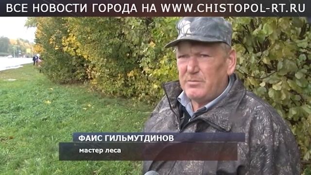 Уборка леса смотреть онлайн