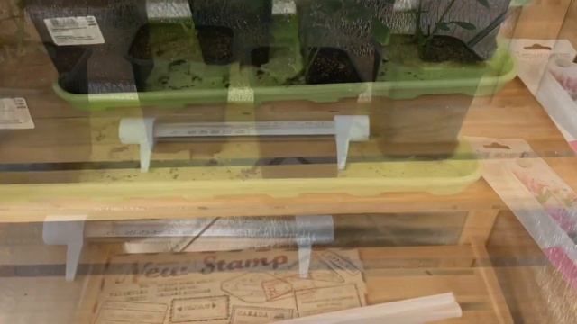 Простой стеллаж для рассады! Женскими руками? ЛЕГКО! смотреть онлайн