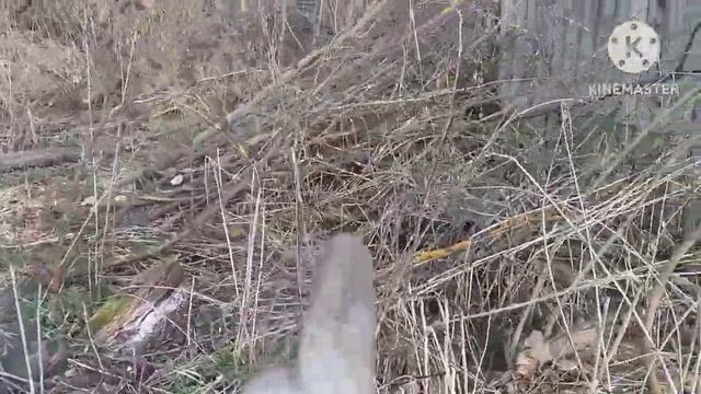 снесли старое строение) и другое) смотреть онлайн