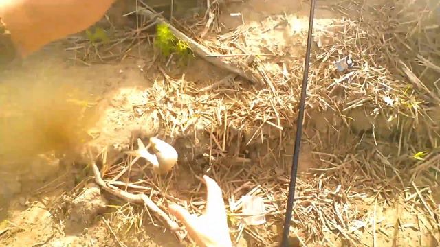 КРУПНАЯ ПЛОТВА ПРЁТ ДУРОМ. ДАВНО НЕ БЫЛО ТАКОЙ РЫБАЛКИ... смотреть онлайн