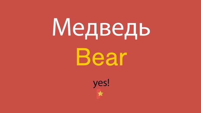 Медведь по-английски
