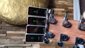 PolyTune vs UniTune (TC Electronic)