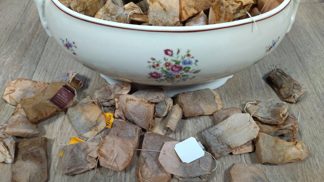 Зачем я собираю использованные чайные пакетики смотреть онлайн