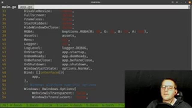 Building a workout tracker using Wails.app with React and Golang - Part 1 | Twitch Stream смотреть онлайн