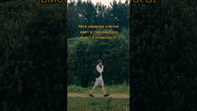 Снято Уэсом Андерсеном | #Shorts