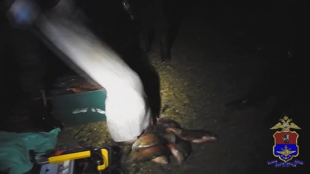 В Подмосковье в акватории реки Оки транспортные полицейские пресекли деятельность двух браконьеров