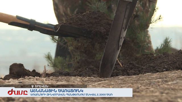 Աշնանային ծառատունկ. Եռաբլուրի զինվորական պանթեոնում տնկվել է 2000 ծառ