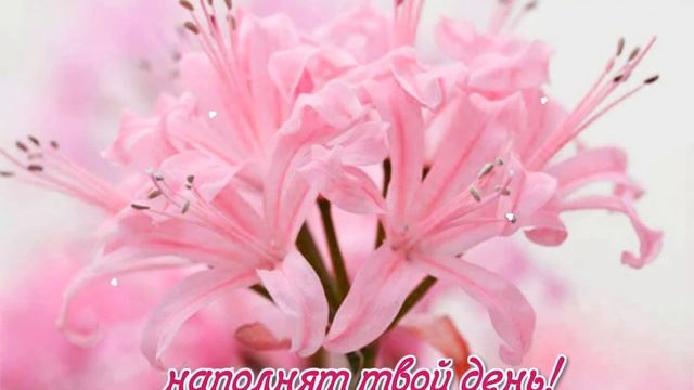 Пусть приятные моменты наполнят твой день! смотреть онлайн