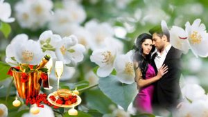 Александр Шапиро СЛУЧАЙНАЯ ВСТРЕЧА