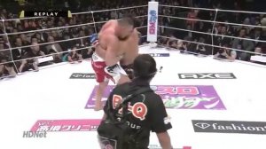 Jérôme Le Banner vs Satoshi Ishii - 31 12 2010 480p