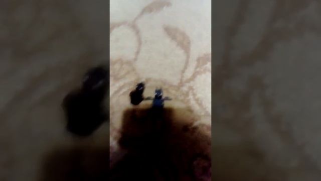 Мы с мамой построили набор майнкрафт Горная пещера смотреть онлайн