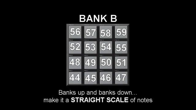 Complete FL Studio + Akai MPD "STEP BY STEP" Tutorial [ENGLISH] смотреть онлайн