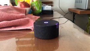 Моя Алиса сошла с ума…