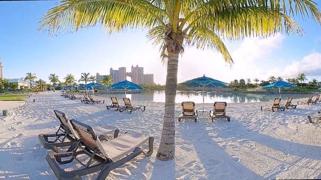 Royal Towers Atlantis Autograph Collection 4*