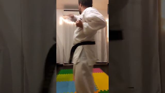 Gekisai Dai Ichi Kata Goju Ryu Karate