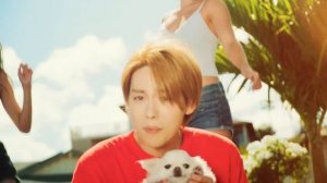 WINNER - 'ISLAND' M/V