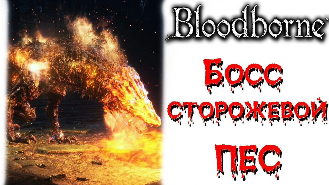 Bloodborne - Босс Сторожевой пес Древних Богов(Watch Dog of the Old Lords)(Подземелье Чаши).