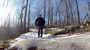 На коньках по лесу