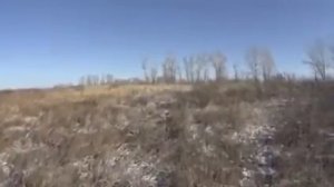 охота в оренбургской облости